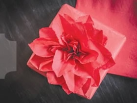 如何折纸一品红 手工折纸圣诞红的折法图解