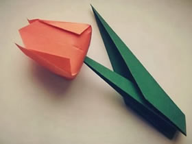 怎么折郁金香的方法 折纸郁金香步骤图解