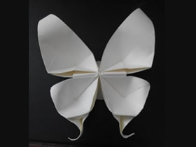 蝴蝶的折法图解教程 怎么折纸蝴蝶的方法