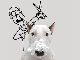 恶搞狗狗的创意画图片 创意狗狗恶搞画作品