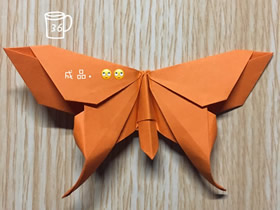 怎么折纸漂亮蝴蝶图解 手工蝴蝶的折法步骤
