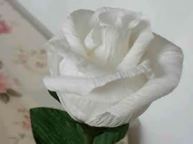 怎么做皱纹纸玫瑰教程 皱纹纸制作玫瑰花图解