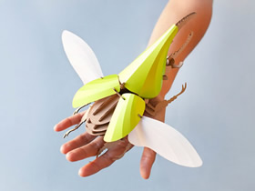 漂亮装饰品！瓦楞纸手工制作昆虫模型图片