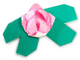 怎么简单折纸水莲花 儿童手工水莲花的折法