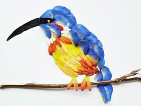 马来西亚艺术家康怡作品 用花瓣拼出美丽鸟类