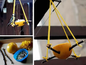 怎么用橙子皮做简易喂鸟器的手工制作方法