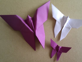 简单折纸蝴蝶的方法图解