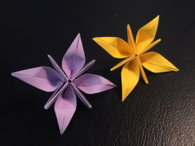 简单四瓣花的折纸图解教程