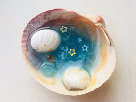 贝壳里的大海-用贝壳做精美手工艺品的方法