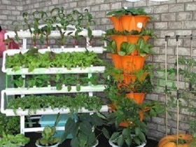 用PVC管在阳台种蔬菜的方法