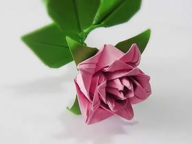 怎么折纸卷心玫瑰的折法详细步骤图解