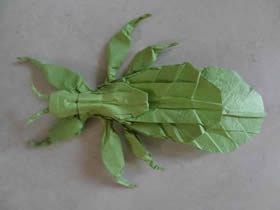 怎么折纸叶虫的方法图解
