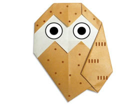 如何折纸猫头鹰 猫头鹰的折法图解