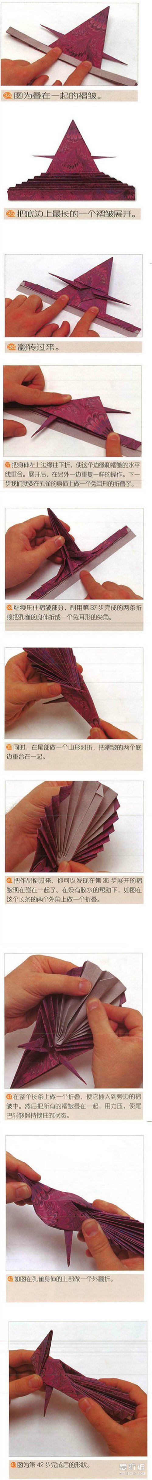 如何折纸孔雀开屏 开屏孔雀的折法图解- www.aizhezhi.com