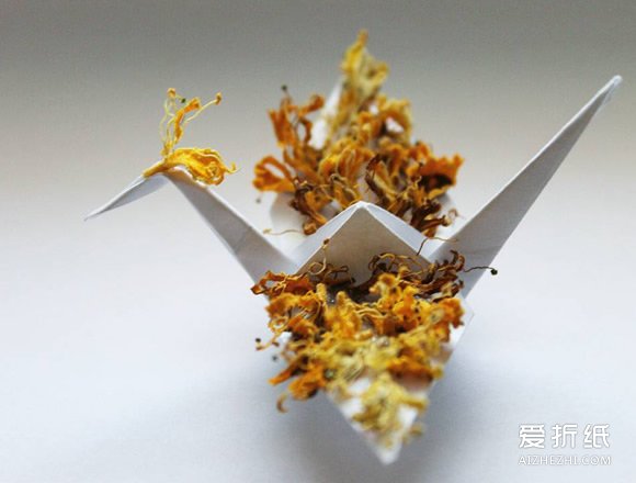 手工折纸鹤创意DIY 另类千纸鹤制作图片- www.aizhezhi.com