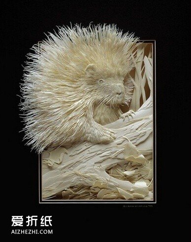 精美的动物纸雕作品 手工动物纸雕塑图片- www.aizhezhi.com