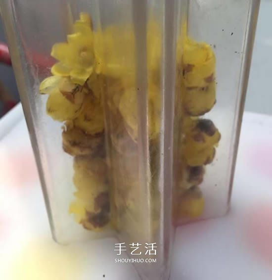 自制蜡梅花蜡烛的方法 鲜花蜡烛礼物DIY制作- www.aizhezhi.com