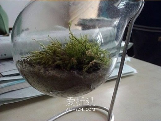 怎么把灯泡做成花盆 简单灯泡花盆手工制作- www.aizhezhi.com