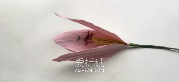 怎么做纸藤百合的方法 纸藤手工制作百合花- www.aizhezhi.com