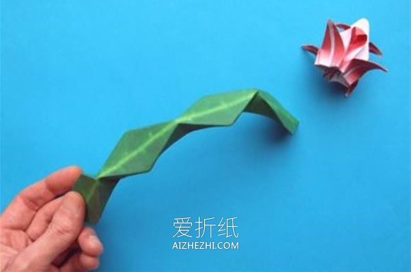 怎么折纸蟹爪兰图解 蟹爪兰花和花茎的折法- www.aizhezhi.com