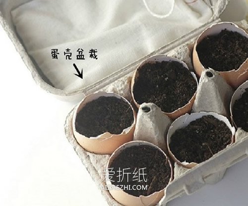 废旧物怎么做花盆图片 环保花盆创意手工制作- www.aizhezhi.com