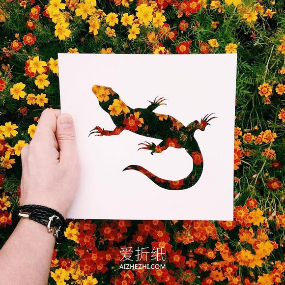 简单又美丽的创意画 让鲜花、树叶自然成画- www.aizhezhi.com