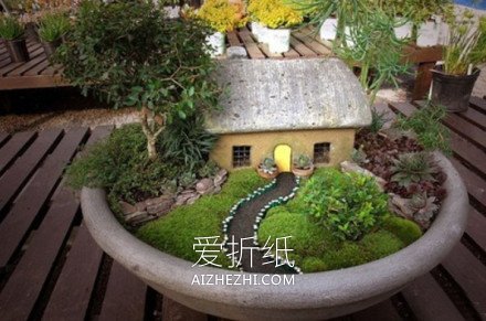 怎么做有创意的盆景 仿佛内有世界的盆景图片- www.aizhezhi.com