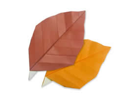 怎么简单折纸落叶教程 儿童手工折纸树叶图解