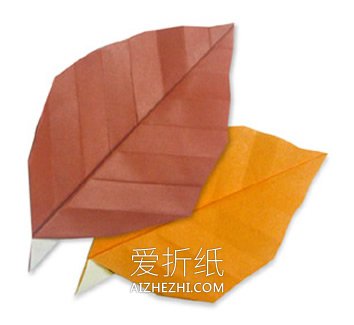 怎么简单折纸落叶教程 儿童手工折纸树叶图解- www.aizhezhi.com