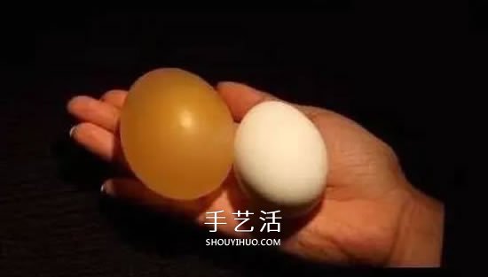 趣味小实验：用醋溶解掉鸡蛋壳的方法- www.aizhezhi.com