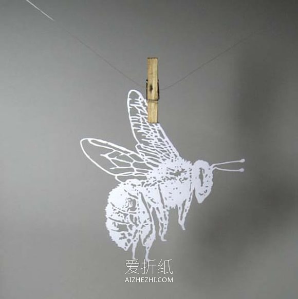 手工写实风的平面纸雕作品图片- www.aizhezhi.com