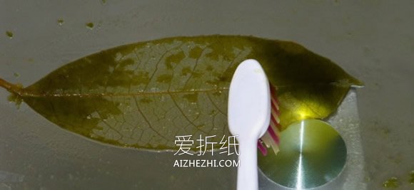 怎么做叶脉书签的方法 叶子手工制作书签图解- www.aizhezhi.com