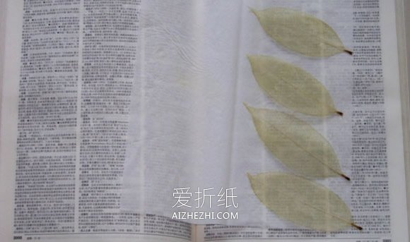 怎么做叶脉书签的方法 叶子手工制作书签图解- www.aizhezhi.com