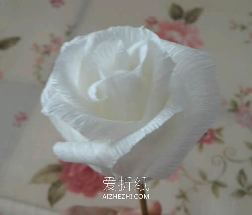 怎么做皱纹纸玫瑰教程 皱纹纸制作玫瑰花图解- www.aizhezhi.com