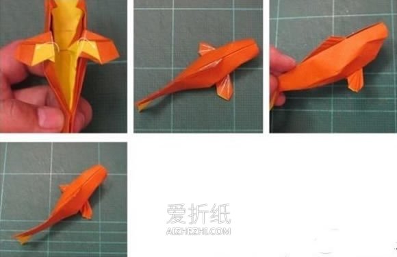 怎么折纸锦鲤鱼的方法 手工立体鲤鱼折法图解- www.aizhezhi.com