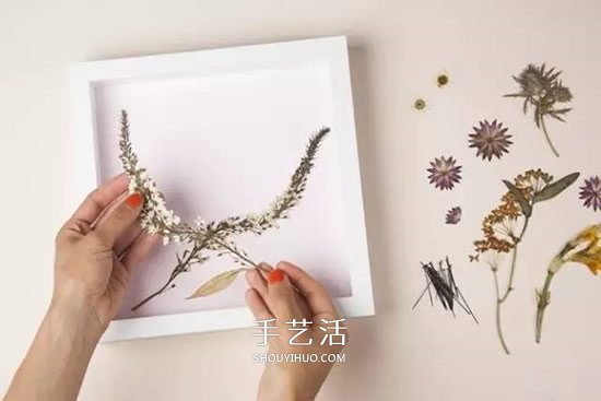 用押花留住春天的美！干花做法及押花装饰画DIY- www.aizhezhi.com