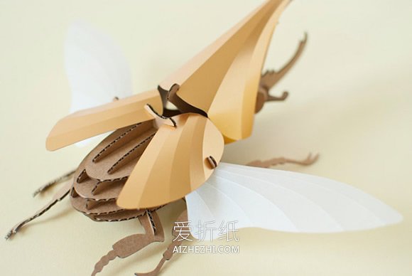 漂亮装饰品！瓦楞纸手工制作昆虫模型图片- www.aizhezhi.com