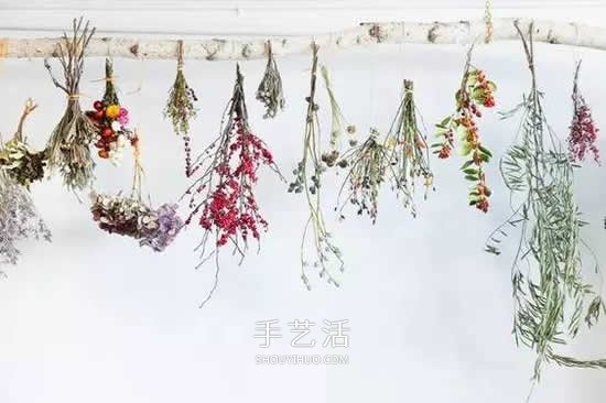 干花的四种制作方法 手工DIY绝美礼物饰品- www.aizhezhi.com