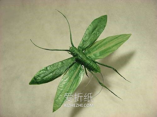 实在太逼真了！神还原创意动物的折纸图片- www.aizhezhi.com