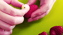怎么做苹果草莓小鸡 水果拼盘小鸡手工制作- www.aizhezhi.com