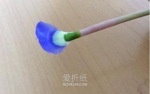 怎么做粘土小花的方法 超轻粘土制作花朵图解- www.aizhezhi.com