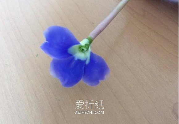 怎么做粘土小花的方法 超轻粘土制作花朵图解- www.aizhezhi.com