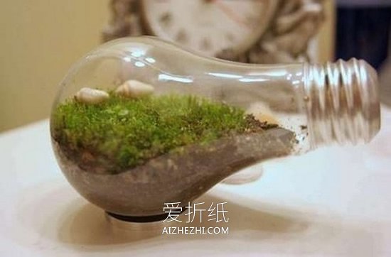 怎么把旧灯泡废物利用 创意灯泡手工DIY图片- www.aizhezhi.com