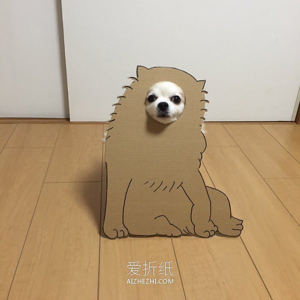 怎么做狗狗的恶搞道具 硬纸板制作整狗面具- www.aizhezhi.com