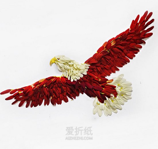 马来西亚艺术家康怡作品 用花瓣拼出美丽鸟类- www.aizhezhi.com