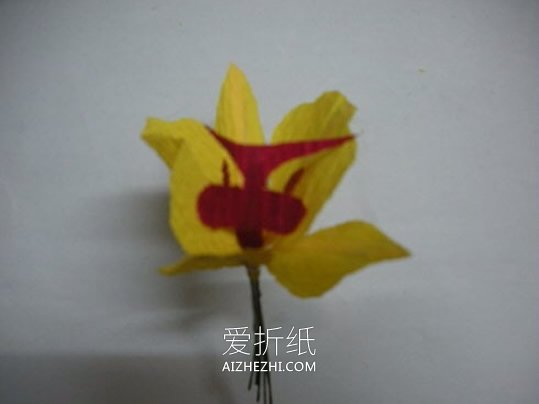 怎么用皱纹纸做蝴蝶兰的手工教程图解- www.aizhezhi.com