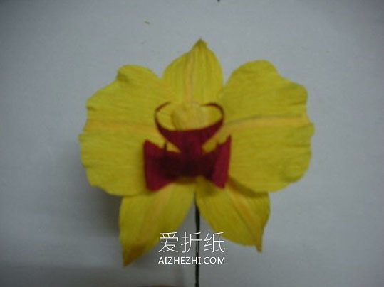 怎么用皱纹纸做蝴蝶兰的手工教程图解- www.aizhezhi.com