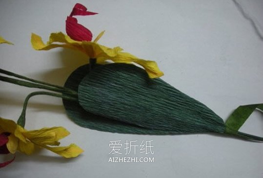 怎么用皱纹纸做蝴蝶兰的手工教程图解- www.aizhezhi.com