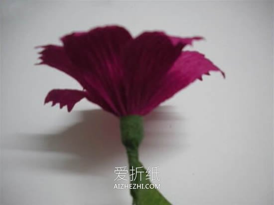 怎么用皱纹纸手工制作波斯菊的图解教程- www.aizhezhi.com