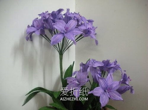 怎么做皱纹纸百子莲花的方法教程- www.aizhezhi.com